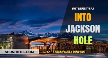 Best Airport Options for Flying into Jackson Hole: A Travel Guide