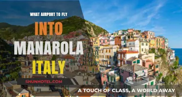 Best Airport Options for Flying into Manarola, Italy: A Guide