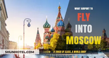 Best Moscow Airports: Your Guide to Choosing the Right One