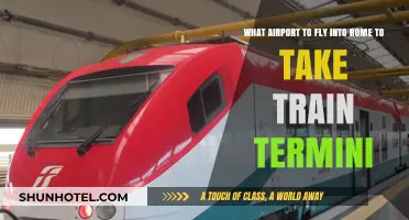 Fly into Rome: Best Airport for Train Access to Termini Station