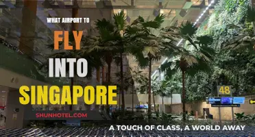 Best Airport Options for Flying into Singapore: A Comprehensive Guide