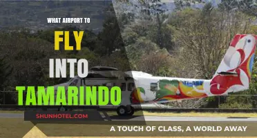 Best Airport Options for Flying into Tamarindo, Costa Rica: A Guide