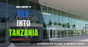 Best Airports for Flying into Tanzania: A Comprehensive Travel Guide