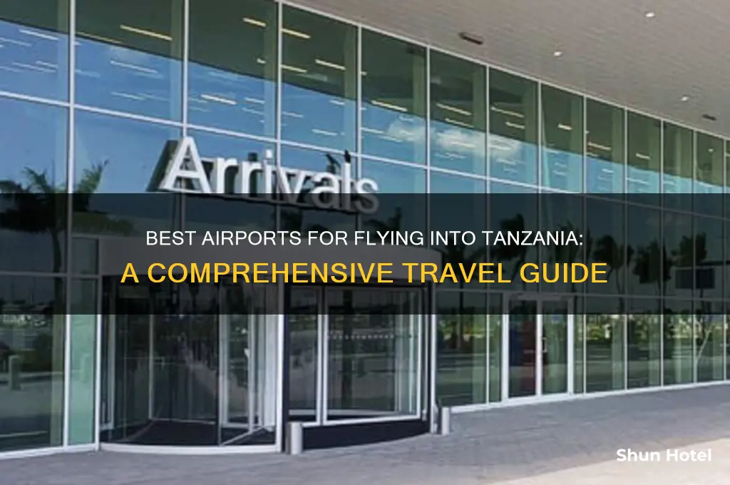 what airport to fly into tanzania