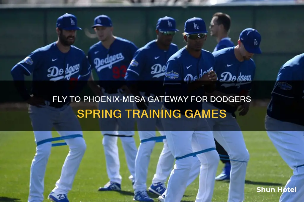 what airport to fly into to see dodgers spring training