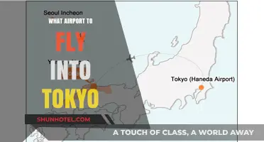 Best Tokyo Airports: Your Ultimate Guide to Flying into Japan