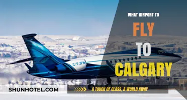 Best Airport Options for Flying to Calgary: A Comprehensive Guide