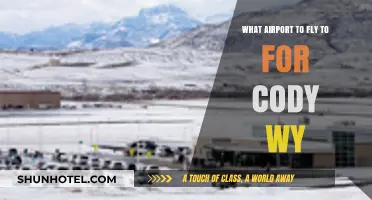 Best Airport Options for Traveling to Cody, Wyoming: A Guide