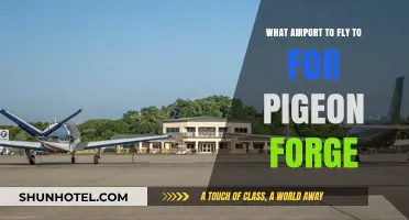 Best Airport Options for Traveling to Pigeon Forge, Tennessee
