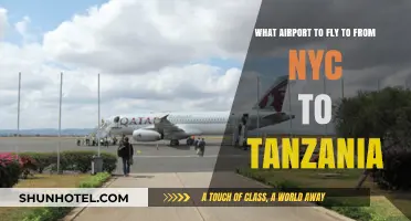 Best NYC Airport for Tanzania Flights: Your Ultimate Travel Guide