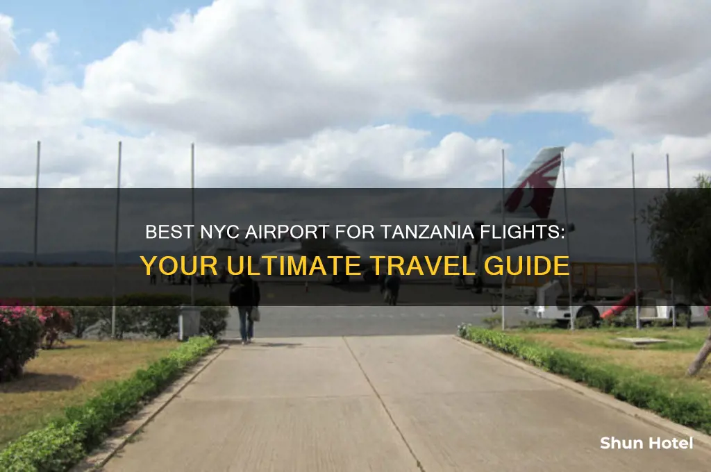 what airport to fly to from nyc to tanzania
