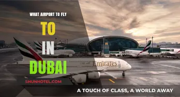Dubai Airport Guide: Which Hub to Choose for Your Trip
