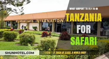 Best Tanzania Airport for Safari: Your Ultimate Travel Guide