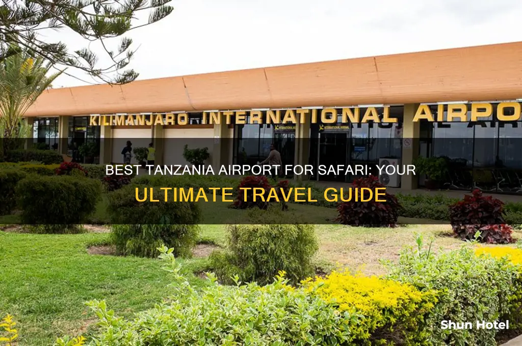 what airport to fly to in tanzania for safari