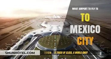 Best Airports to Fly Into for Exploring Mexico City: A Guide