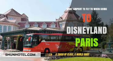 Best Airport Options for Your Disneyland Paris Adventure: A Guide