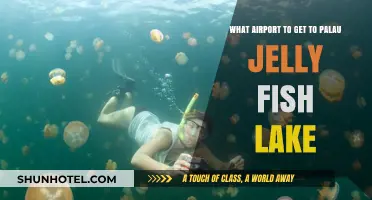Best Airport for Palau's Jellyfish Lake: Your Ultimate Travel Guide