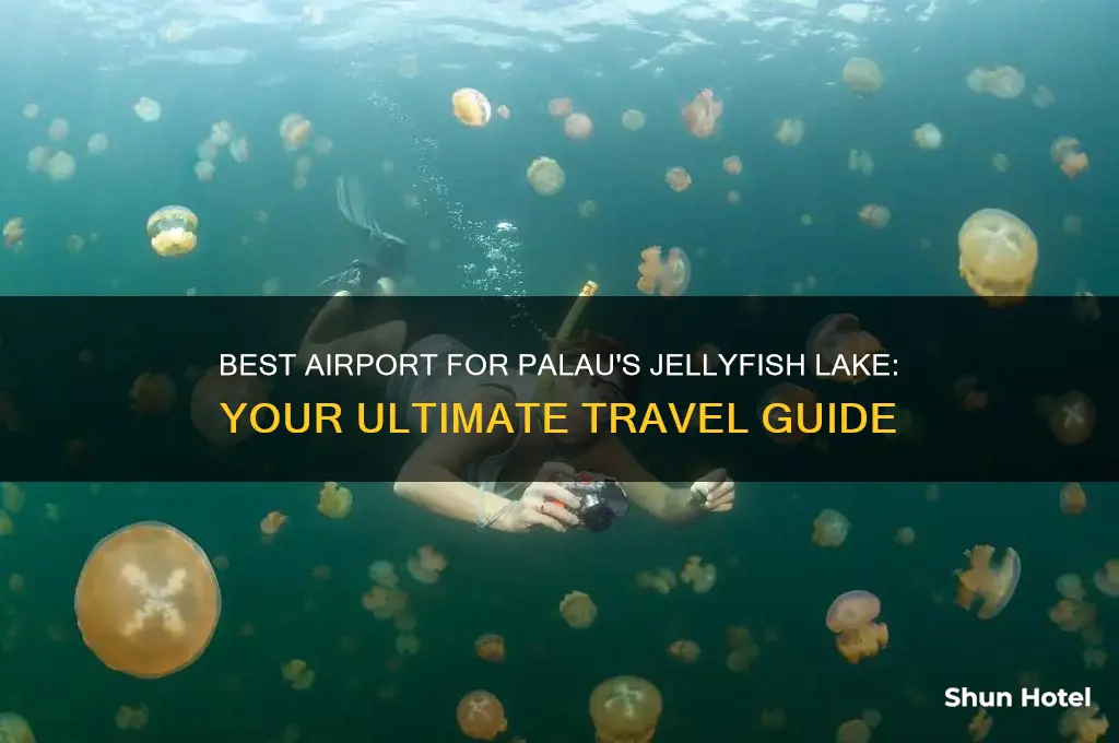 what airport to get to palau jelly fish lake