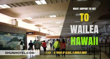 Best Airport Options for Traveling to Wailea, Hawaii: A Quick Guide