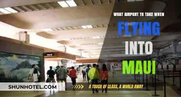 Best Maui Airport Guide: Which to Choose for Your Hawaiian Vacation