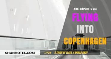 Best Airport Options for Your Copenhagen Flight: A Quick Guide