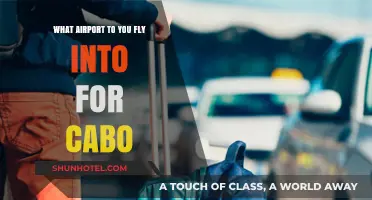 Best Airport Options for Flying into Cabo San Lucas, Mexico