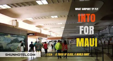 Best Airport Options for Flying into Maui: A Traveler's Guide