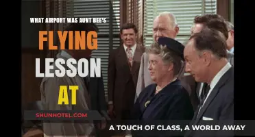 Aunt Bee's Flying Lesson: Uncovering the Airport Mystery