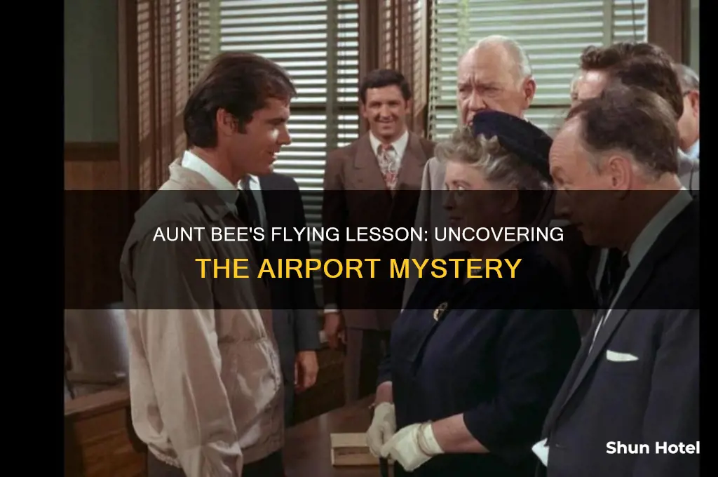 what airport was aunt bee