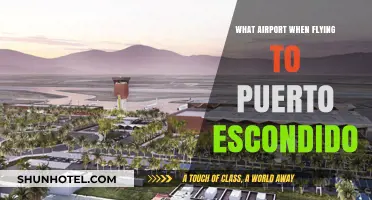 Best Airport Options for Flying to Puerto Escondido: A Travel Guide