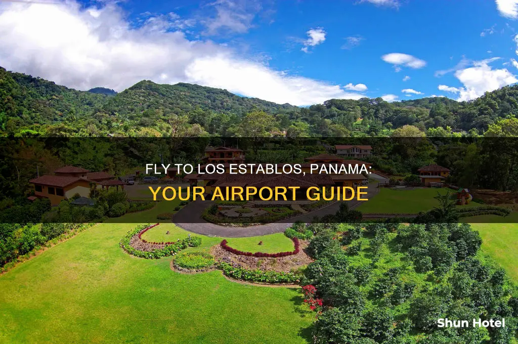what airport will get you to los establos panama