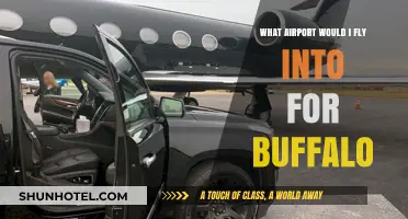 Buffalo Travel Guide: Which Airport to Fly Into for Easy Access
