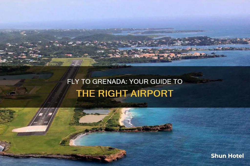 what airport would i fly into for grenada