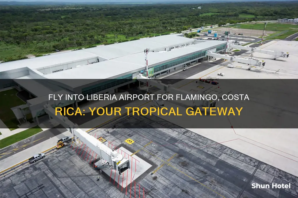 what airport would you fly into for flamingo costa rica