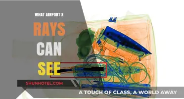 Airport X-rays: What Can They See?