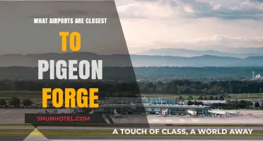 Discover the Nearest Airports to Pigeon Forge for Your Next Trip