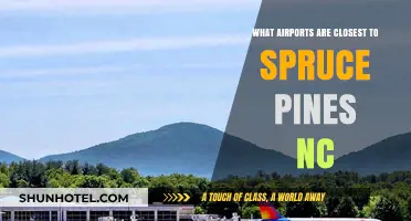 Discover the Nearest Airports to Spruce Pine, NC: A Comprehensive Guide