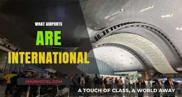 Exploring the World: Which Airports Qualify as International Hubs?
