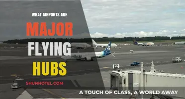 Global Air Travel: Key Airports Serving as Major Flying Hubs
