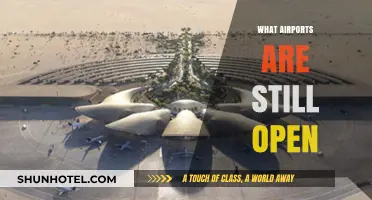 Which Airports Remain Operational Amid Global Travel Restrictions?