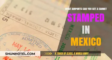 Airports for Carnet Stamping in Mexico