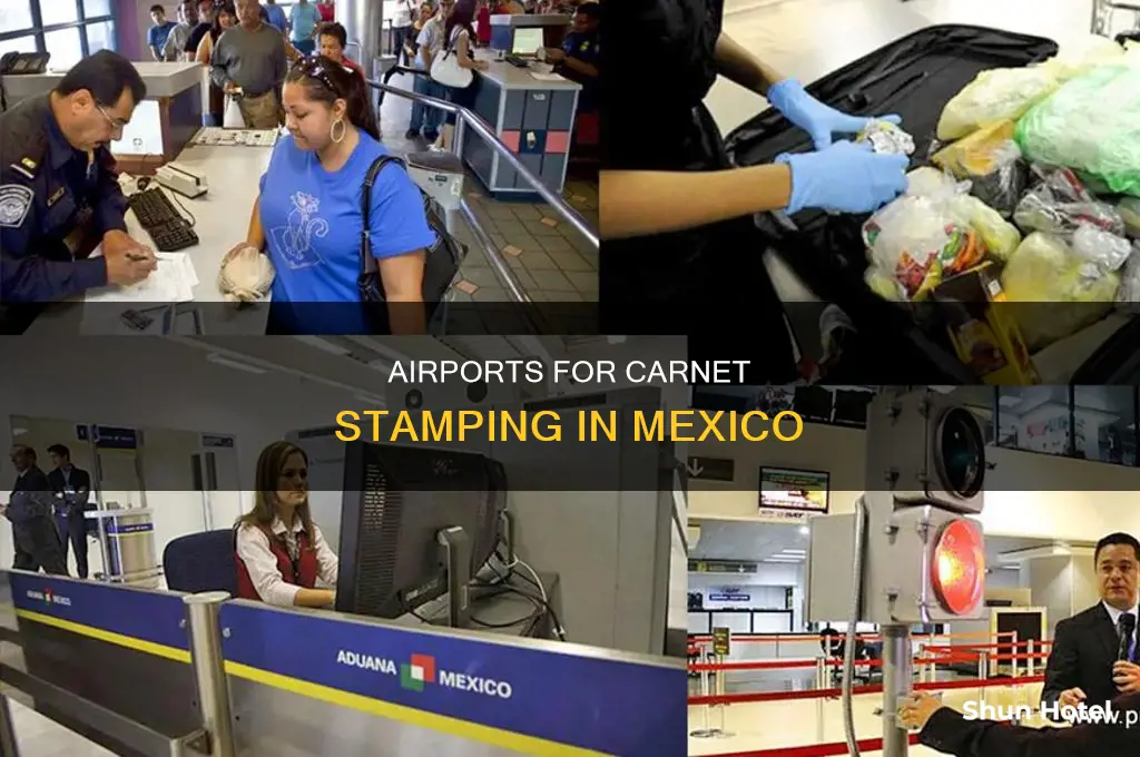 what airports can you get a carnet stamped in mexico