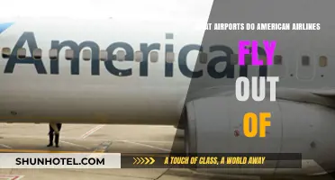 American Airlines Departure Hubs: A Comprehensive List of U.S. Airports