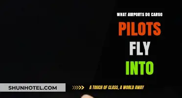 Cargo Pilot Destinations: Key Airports for Freight Operations Worldwide