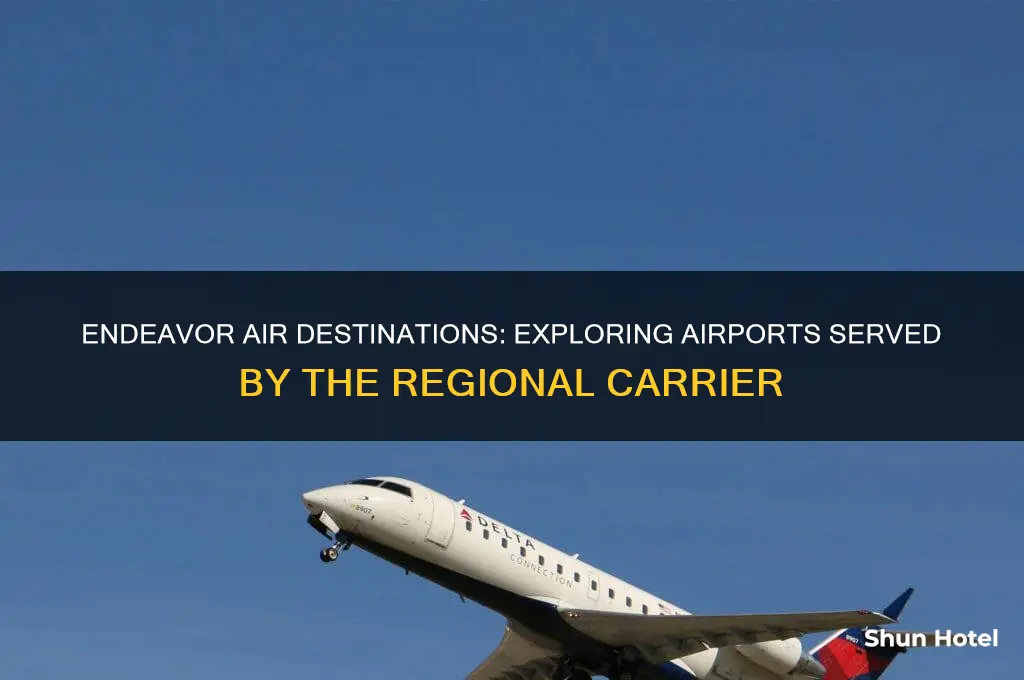 what airports do endeavor air fly to