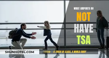 Airports Without TSA: A Traveler's Guide to Stress-Free Flying