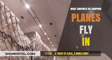 Where Cargo Takes Flight: Key Airports for Shipping Planes