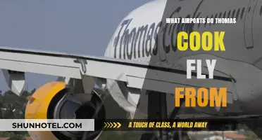 Thomas Cook Departure Airports: A Comprehensive Guide to UK Hubs