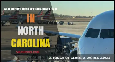 American Airlines North Carolina Destinations: A Comprehensive Airport Guide