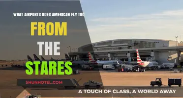 American Airlines' U.S. Destinations: A Comprehensive Airport Guide